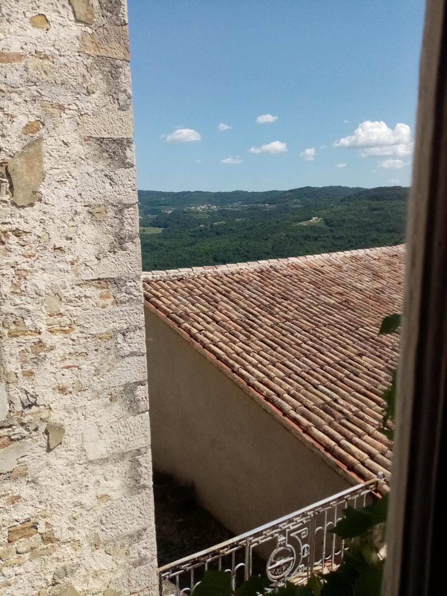 Studio Apartman Bel Vedere Motovun Luaran gambar