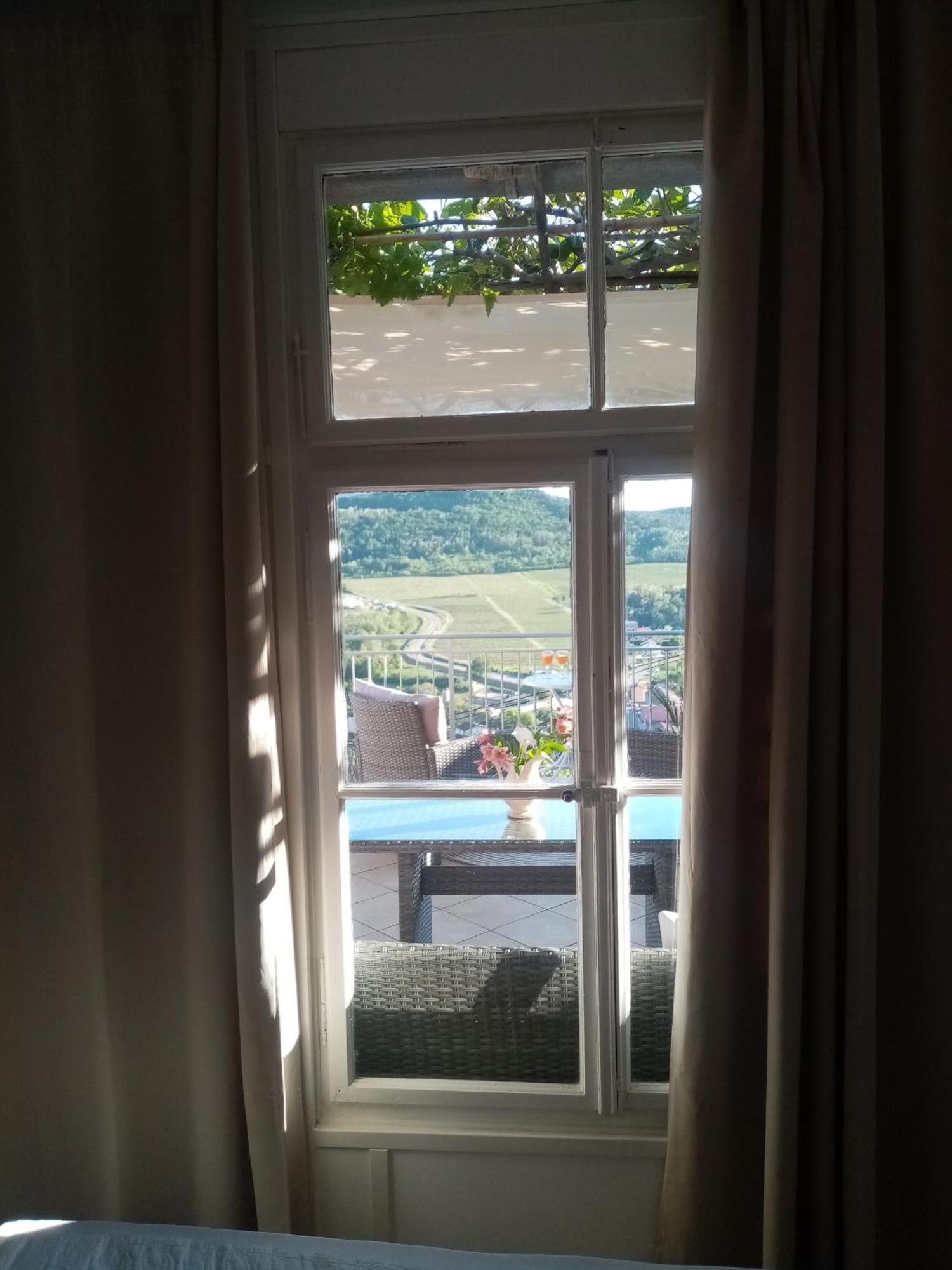 Studio Apartman Bel Vedere Motovun Luaran gambar
