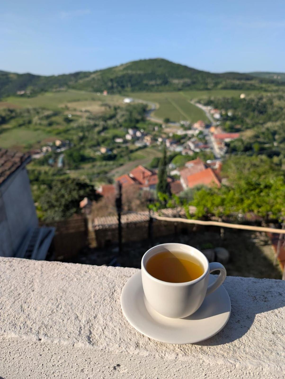 Studio Apartman Bel Vedere Motovun Luaran gambar