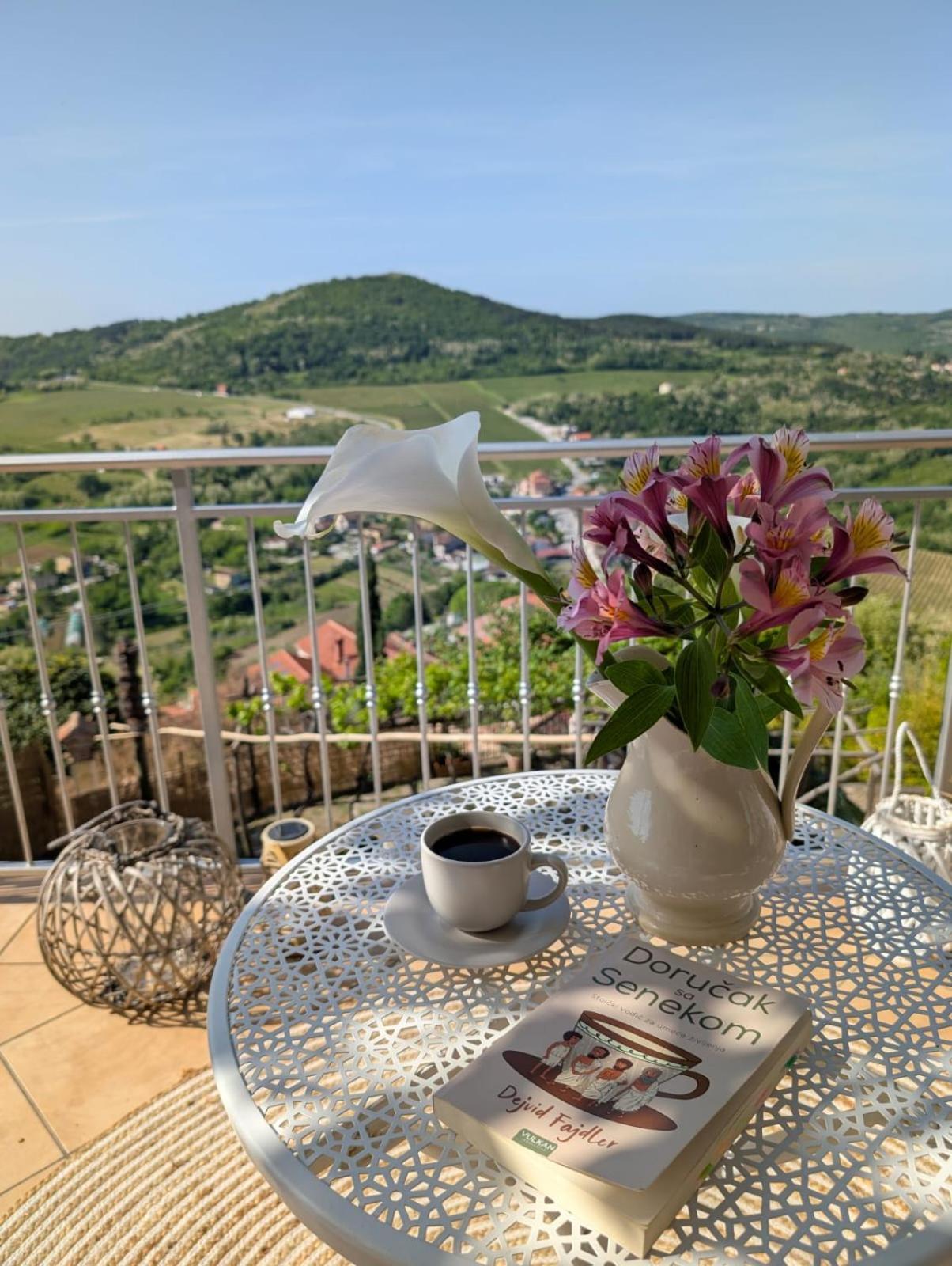 Studio Apartman Bel Vedere Motovun Luaran gambar